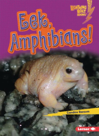 Eek, Amphibians!, Candice Ransom - Paperback - 9798765684597