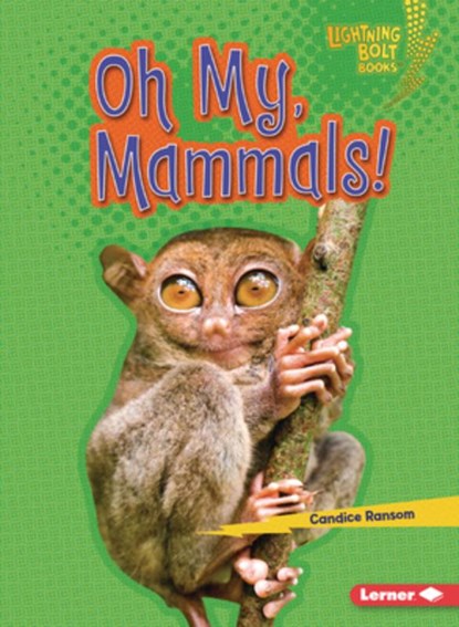 Oh My, Mammals!, Candice Ransom - Paperback - 9798765684627
