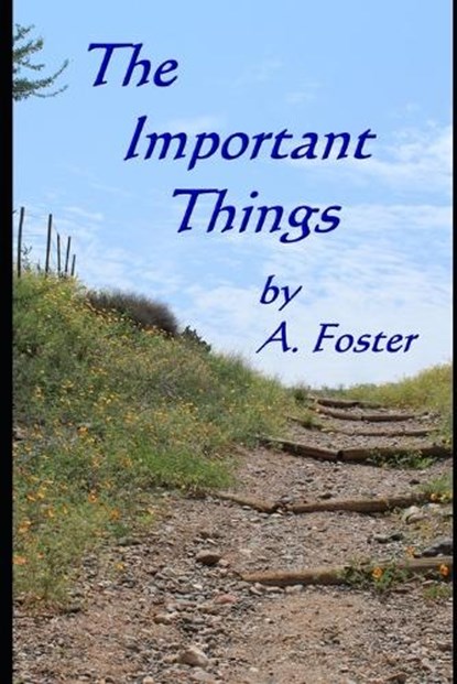 The Important Things, FOSTER,  Ann ; Foster, Annette ; Foster, A - Paperback - 9798773246541