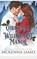 Christmas at Wildhearst Manor, JAMES,  McKenna - Paperback - 9798787081848