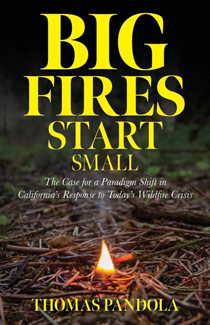 Big Fires Start Small, Thomas Pandola - Paperback - 9798822902749