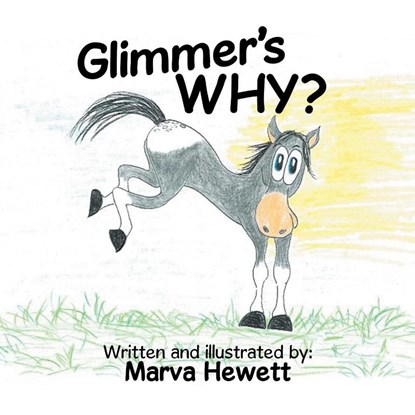 Glimmer's WHY?, Marva Hewett - Paperback - 9798823044004