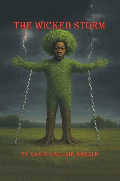 The Wicked Storm, David Sinclair Arnold - Paperback - 9798823057035