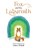 Fox and the Labyrinth, Debra Whitall - Paperback - 9798823057202