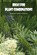 Ideas for Plant Combinations, ACOSTA,  Carlos - Paperback - 9798846049024