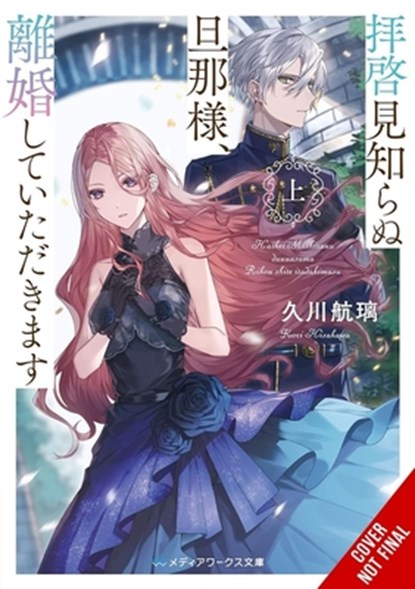To Sir, Without Love: I'm Divorcing You I, Part 1 (Light Novel): Volume 1, Kori Hisakawa - Paperback - 9798855411881