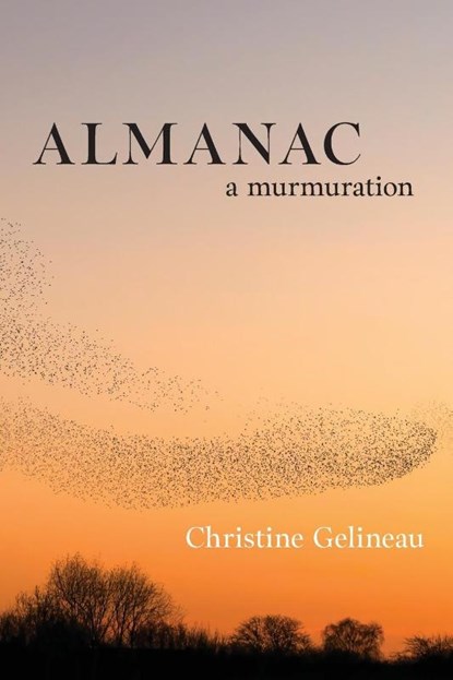 Almanac, Christine Gelineau - Paperback - 9798855801798