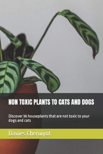 Non Toxic Plants to Cats and Dogs: Discover 36 houseplants that are not toxic to your dogs and cats, Davies Cheruiyot - Paperback - 9798861489744