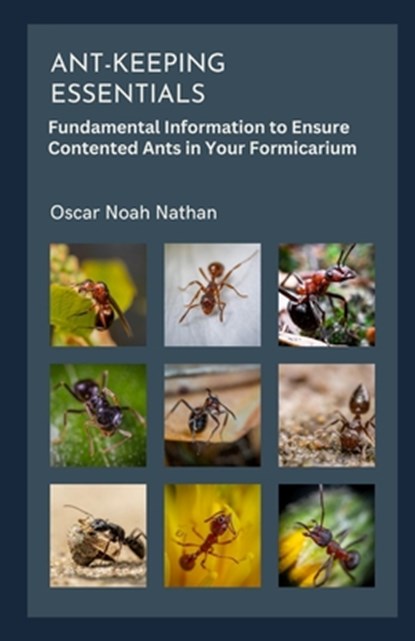 Ant-keeping Essentials: Fundamental Information to Ensure Contented Ants in Your Formicarium, Oscar Noah Nathan - Paperback - 9798863149776