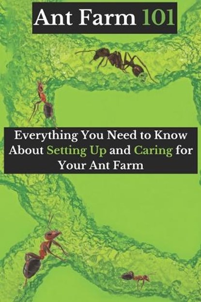 Ant Farm 101: Everything You Need to Know About Setting Up and Caring for Your Ant Farm, Ehab Mahmoud - Paperback - 9798863642512