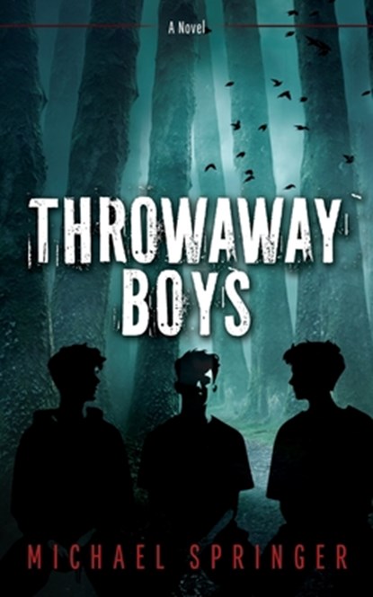 Throwaway Boys, Michael Springer - Paperback - 9798868524424