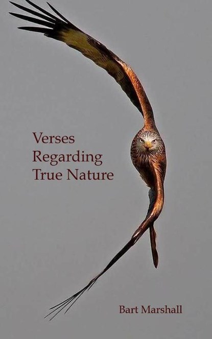 Verses Regarding True Nature, Bart Marshall - Paperback - 9798868984563