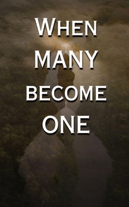 When Many Become One, Victor Stone - Paperback - 9798869013507