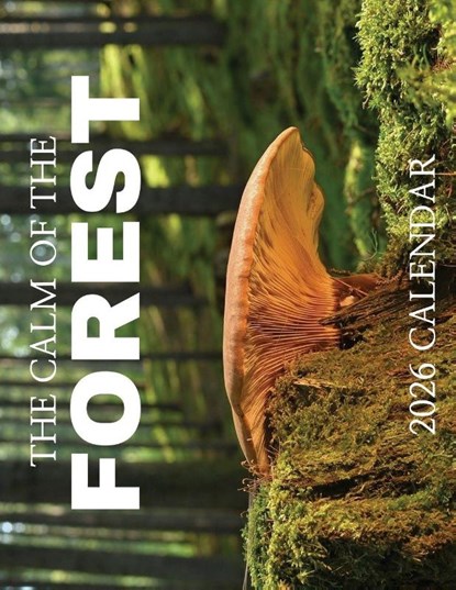 The Calm of the Forest 2026 Calendar, B. Patrick - Paperback - 9798869034427