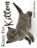 Krazy for Kittens 2026 Calendar, B. Patrick - Paperback - 9798869034625