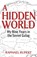 A Hidden World, Raphael Rupert - Paperback - 9798869042279