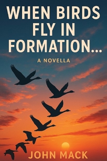 When Birds Fly In Formation, John Mack - Paperback - 9798869153456