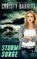 Storm Surge, Christy Barritt - Paperback - 9798869153548