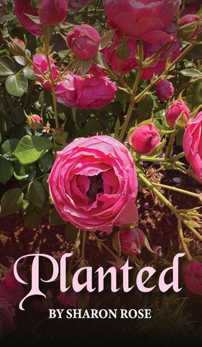 Planted, Sharon Rose ; Tbd - Gebonden - 9798869178213