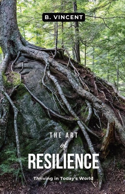 The Art of Resilience, B. Vincent - Paperback - 9798869328946