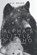 Alpha's Little Psycho, K a Bauer - Paperback - 9798870743516
