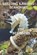 Breeding & Raising Seahorses: For Beginners, Mike French - Paperback - 9798871243237