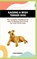 Irish Terrier Dog: The Complete Handbook On How To Raising And Caring For Irish Terrier Dog, Chad Bruno - Paperback - 9798873427413