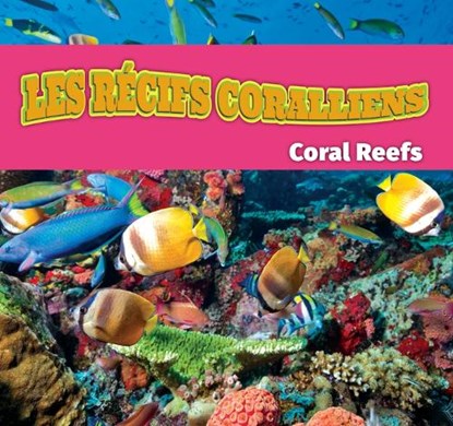 Les Récifs Coralliens/Coral Reefs (French), Alexis Roumanis - Paperback - 9798874516758
