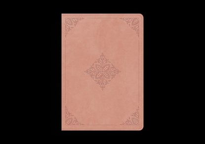 ESV Study Bible, Personal Size (Trutone, Blush Rose, Fleur-De-Lis Design), J. I. Packer - Gebonden - 9798874900274