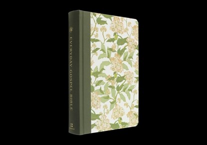 ESV Everyday Gospel Bible, Artist Series: Connecting Scripture to All of Life (Cloth Over Board, Lulie Wallace, Grier), Paul David Tripp - Gebonden - 9798874900410