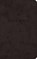 ESV Premium Church Bible (Trutone, Black), Esv Bibles - Gebonden - 9798874903442