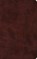 ESV Large Print Thinline Bible, niet bekend - Gebonden - 9798874906719