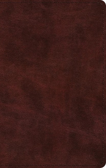 ESV Large Print Thinline Bible, niet bekend - Gebonden - 9798874906719