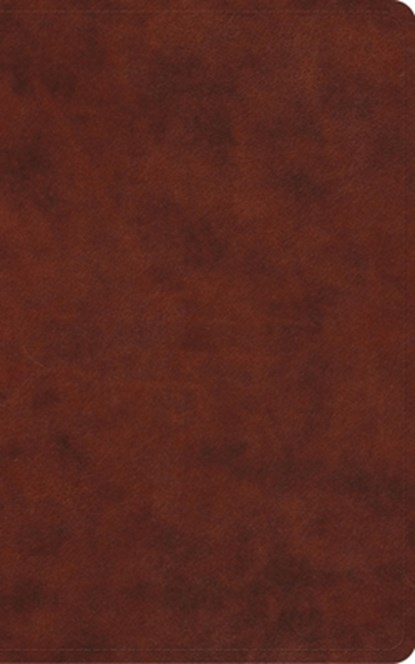 ESV Vest Pocket New Testament with Psalms and Proverbs, Red Letter, Esv Bibles - Gebonden - 9798874907389