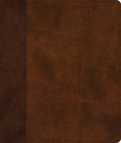 ESV Journaling Bible,  - Gebonden - 9798874907587