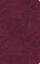 ESV Large Print Value Thinline Bible, Esv Bibles - Gebonden - 9798874907730