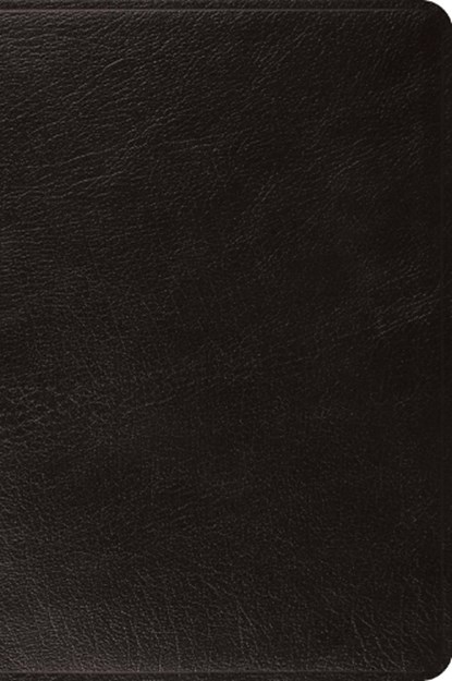 ESV Large Print Bible, niet bekend - Gebonden - 9798874907969