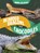Bearded Dragons and Crocodiles: Reptile Relatives, Heather E. Schwartz - Paperback - 9798875220111