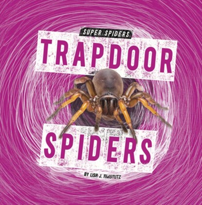 Trapdoor Spiders, Lisa J. Amstutz - Paperback - 9798875224539