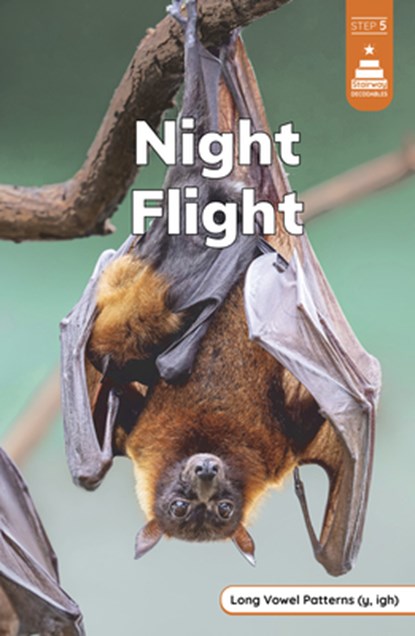 Night Flight, Marley Richmond - Paperback - 9798875230929