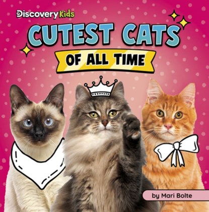 Cutest Cats of All Time, Mari Bolte - Paperback - 9798875256455