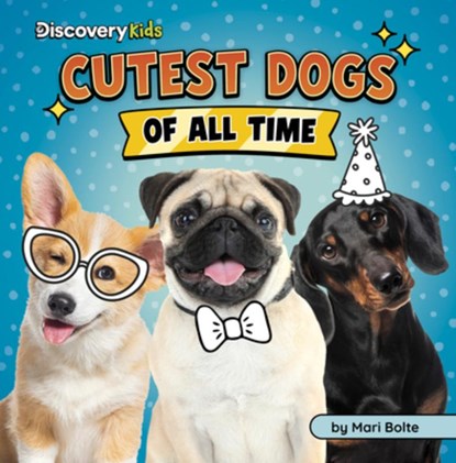 Cutest Dogs of All Time, Mari Bolte - Paperback - 9798875256530