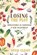 Losing the Plot, David Clensy - Paperback - 9798877969759
