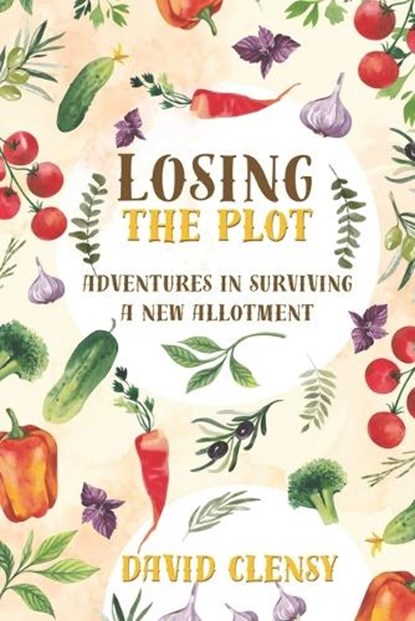 Losing the Plot, David Clensy - Paperback - 9798877969759