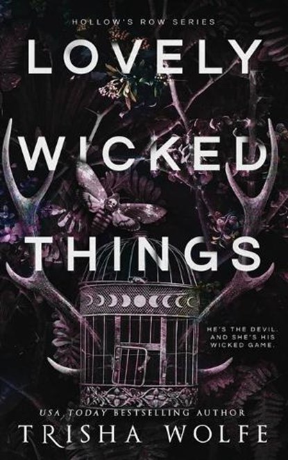 Lovely Wicked Things, WOLFE,  Trisha - Paperback - 9798878085281