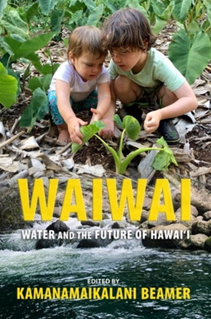 Waiwai: Water and the Future of Hawai'i, Kamanamaikalani Beamer - Gebonden - 9798880700523
