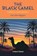 The Black Camel, Earl Derr Biggers - Paperback - 9798880925810