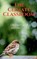 Climate Classroom, MEHROTRA,  Dr Dheeraj - Paperback - 9798885031226