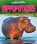 HIPPOPOTAMUS, Colleen Sexton - Paperback - 9798885091169