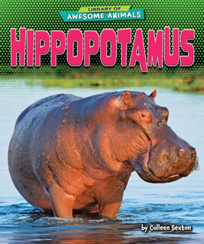 HIPPOPOTAMUS, Colleen Sexton - Paperback - 9798885091169